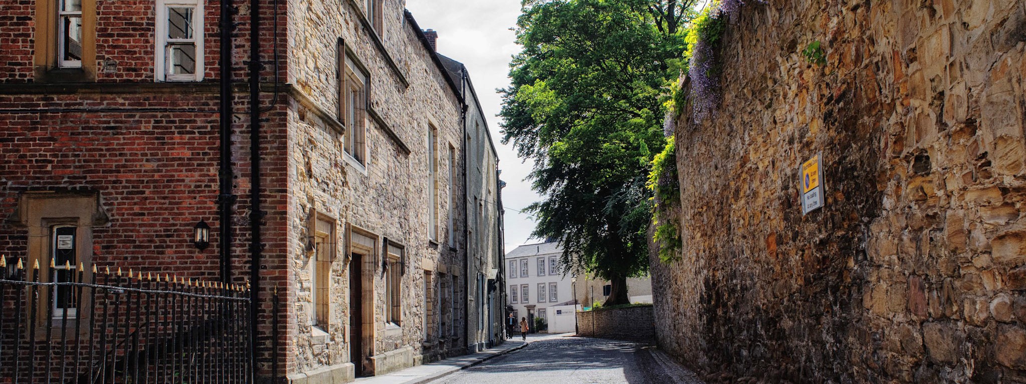 A historic cobblestone street looking ahead towards a large green tree, flanked by old brick and stone college buildings with black iron railings on the left, and a high stone wall with overhanging flowers on the right.